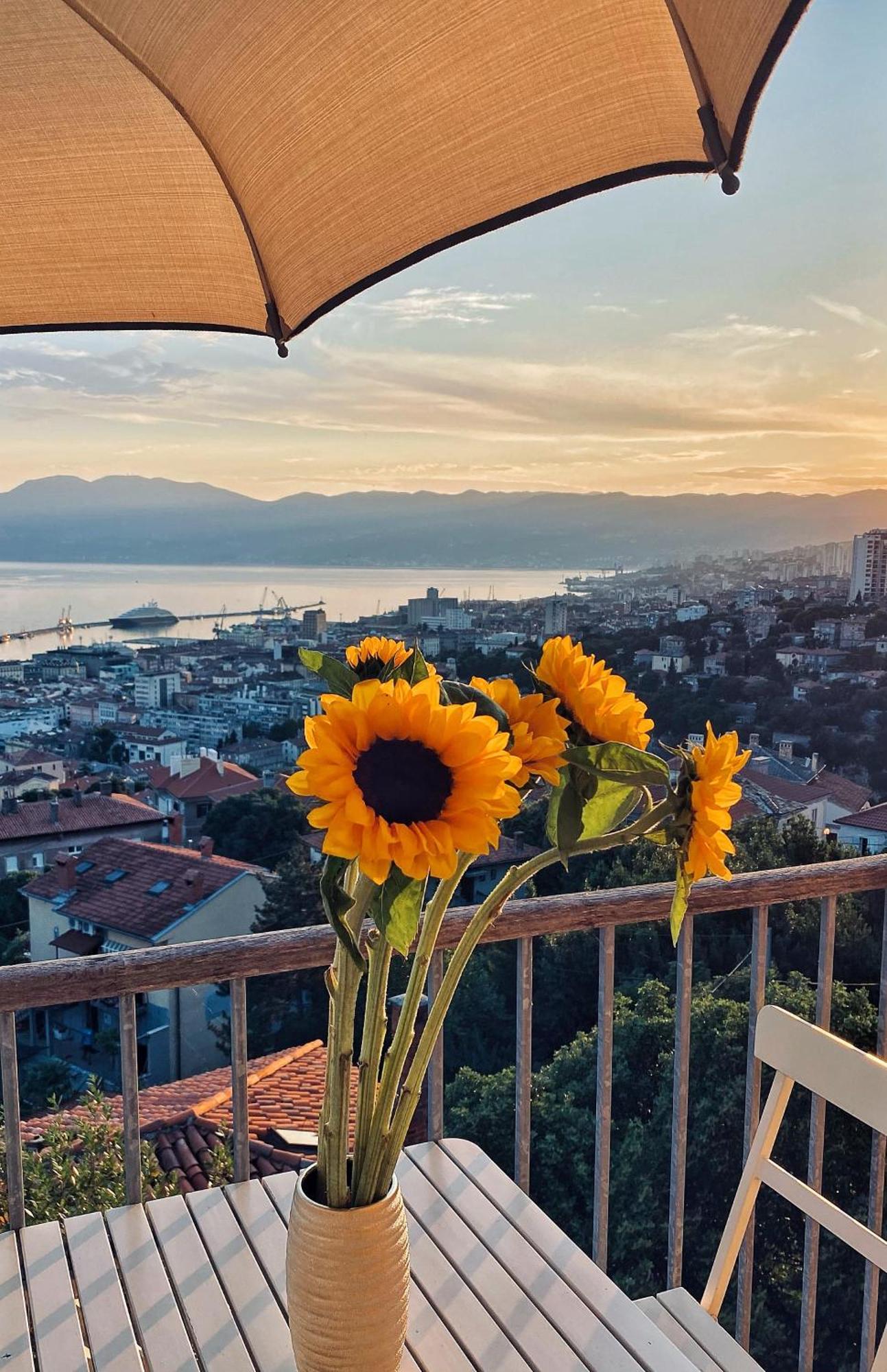 דירות רייקה Nona'S View With Balcony מראה חיצוני תמונה